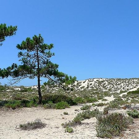 Comporta Beach House Eksteriør billede