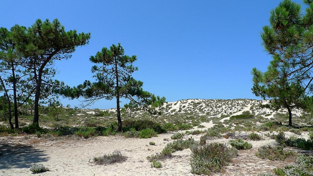 Comporta Beach House Eksteriør billede