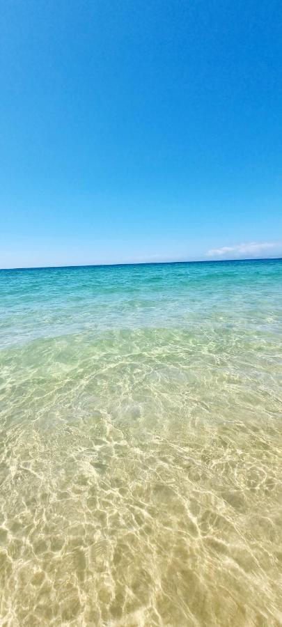 Comporta Beach House Eksteriør billede